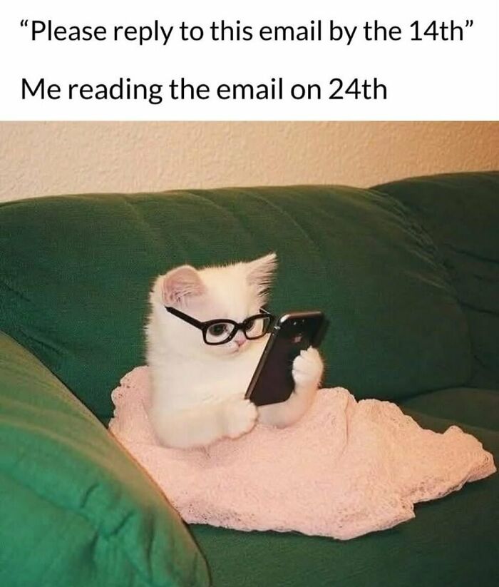 The Funniest Animal Memes That'll Totally Make Your Day