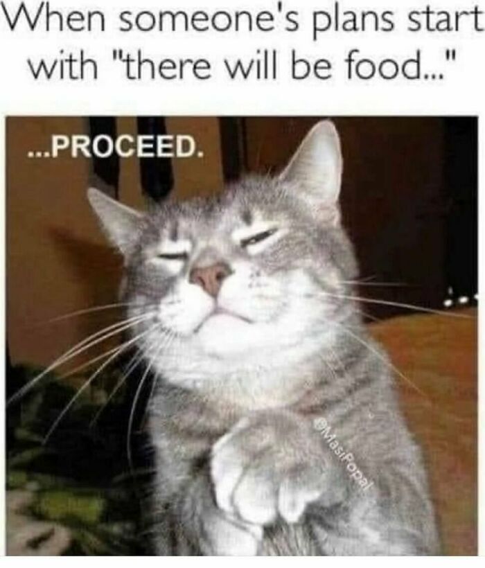 The Funniest Animal Memes That'll Totally Make Your Day