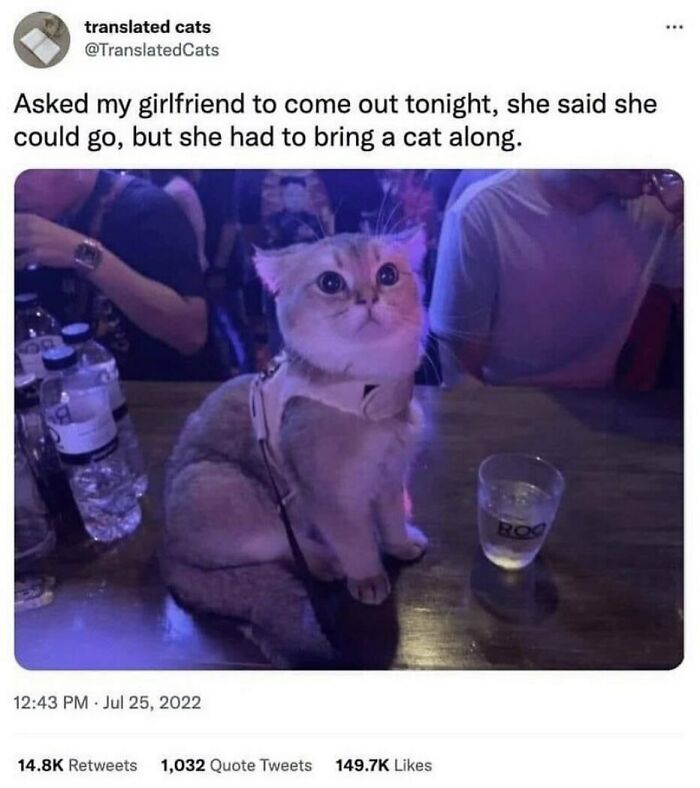 The Funniest Animal Memes That'll Totally Make Your Day