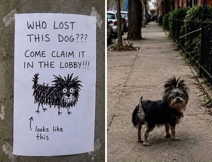Wait, People Actually Made These Signs?! The Funniest Ones Out There