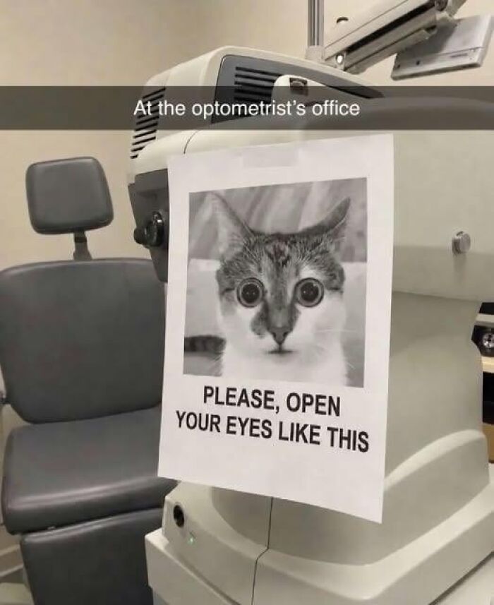 Wait, People Actually Made These Signs?! The Funniest Ones Out There