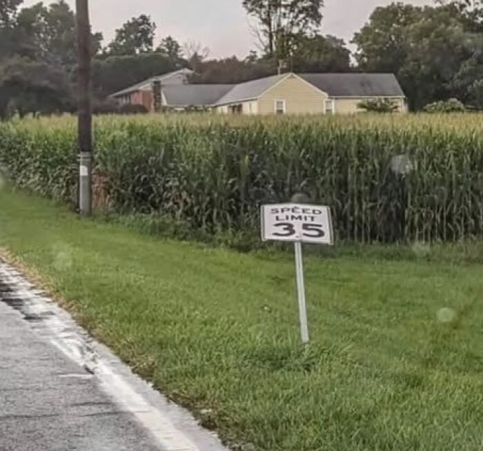 Wait, People Actually Made These Signs?! The Funniest Ones Out There