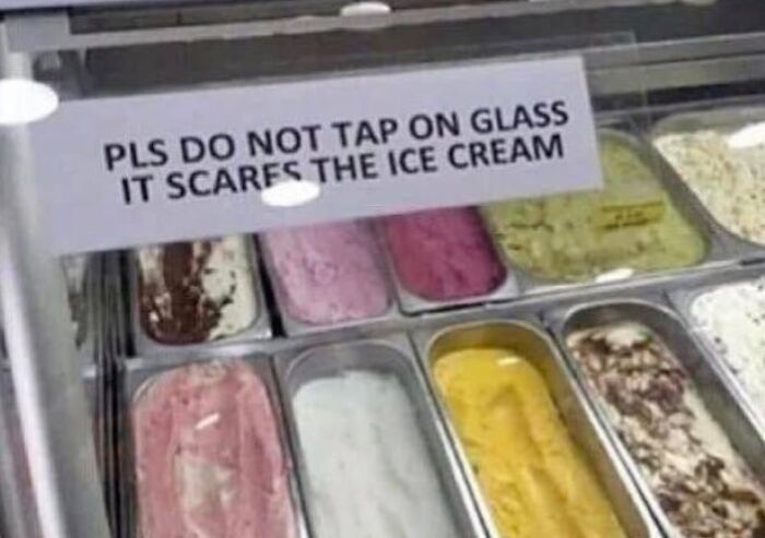 Wait, People Actually Made These Signs?! The Funniest Ones Out There
