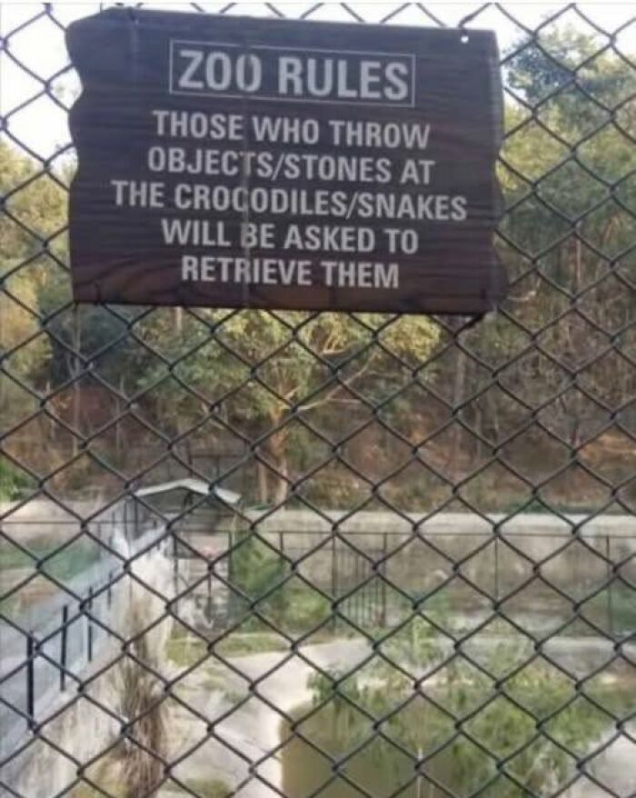Wait, People Actually Made These Signs?! The Funniest Ones Out There