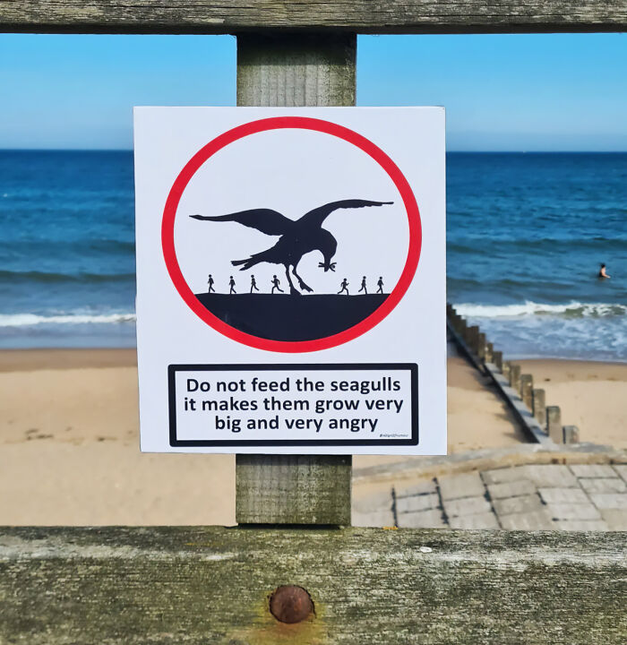 Wait, People Actually Made These Signs?! The Funniest Ones Out There