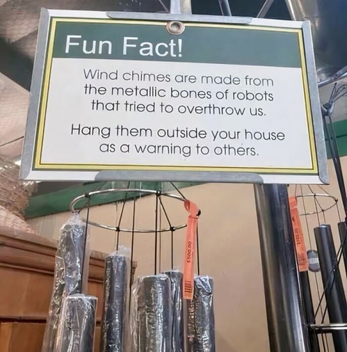 Wait, People Actually Made These Signs?! The Funniest Ones Out There