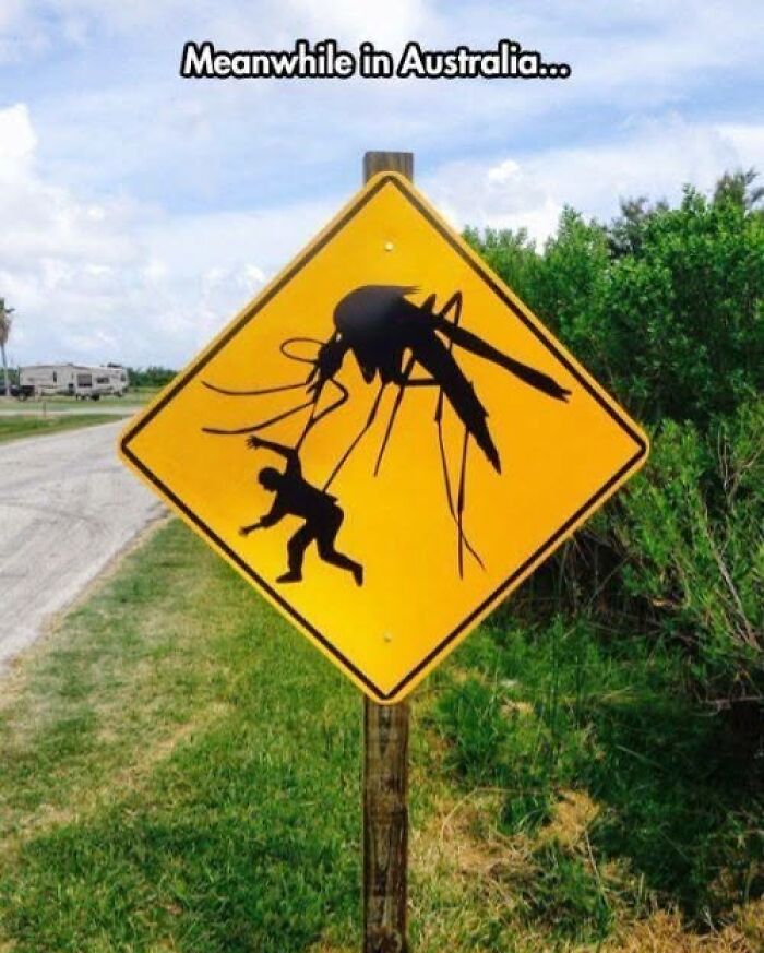 Wait, People Actually Made These Signs?! The Funniest Ones Out There