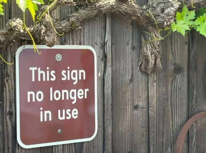 Wait, People Actually Made These Signs?! The Funniest Ones Out There