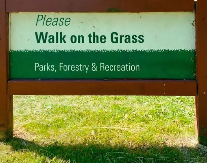 Wait, People Actually Made These Signs?! The Funniest Ones Out There
