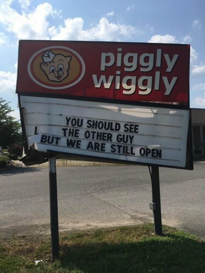 Wait, People Actually Made These Signs?! The Funniest Ones Out There