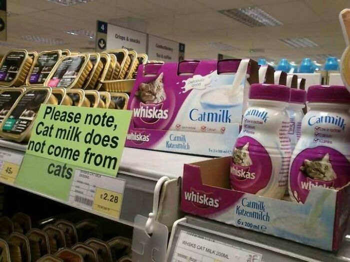 Wait, People Actually Made These Signs?! The Funniest Ones Out There