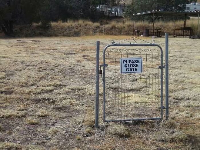 Wait, People Actually Made These Signs?! The Funniest Ones Out There