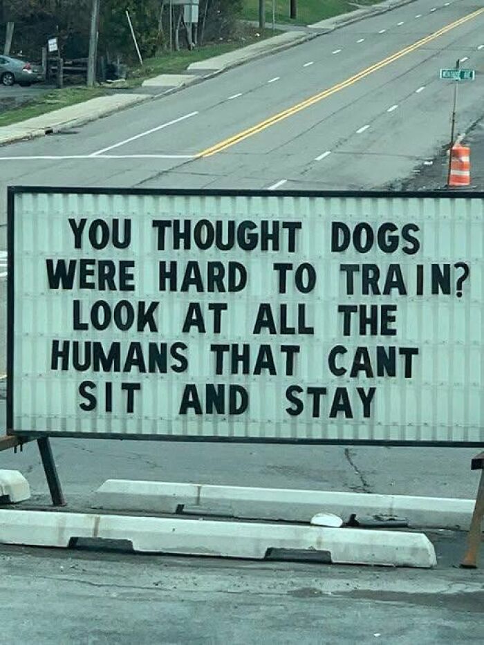 Wait, People Actually Made These Signs?! The Funniest Ones Out There