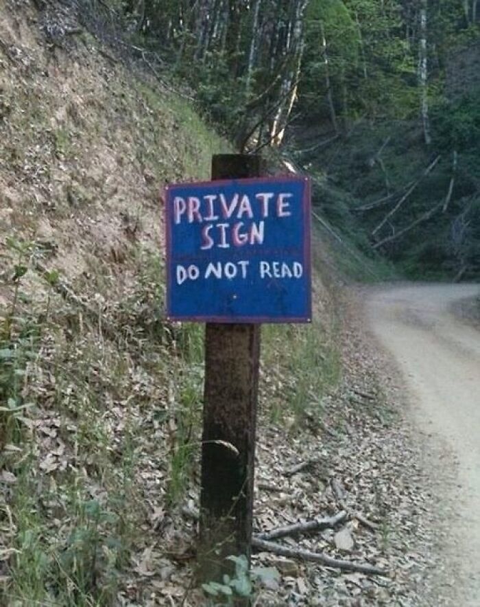 Wait, People Actually Made These Signs?! The Funniest Ones Out There