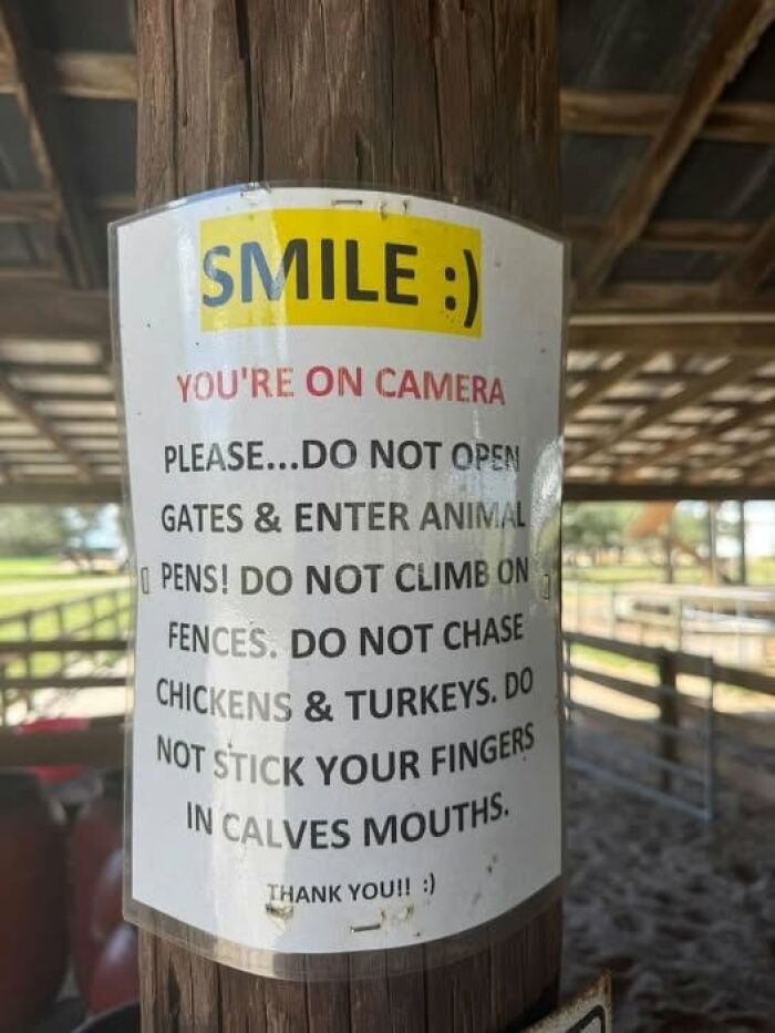 Wait, People Actually Made These Signs?! The Funniest Ones Out There