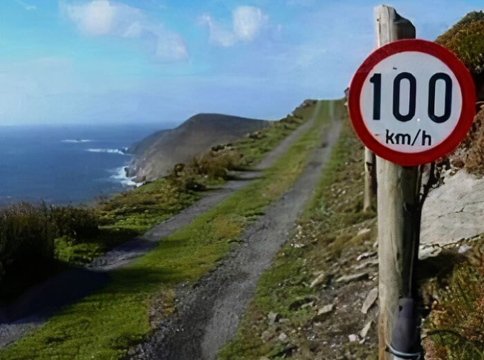 Wait, People Actually Made These Signs?! The Funniest Ones Out There