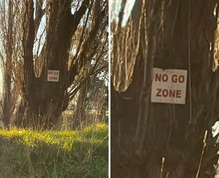 Wait, People Actually Made These Signs?! The Funniest Ones Out There