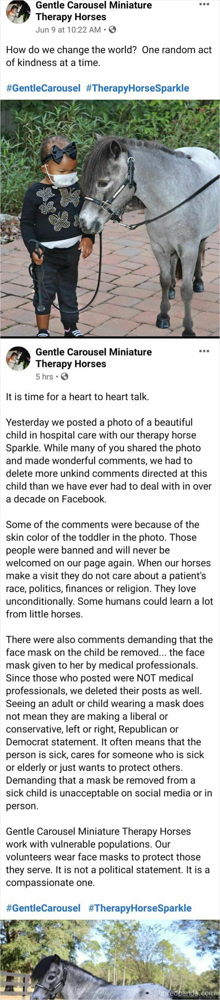 Tiny Horse Therapy Drama? Yep, That's a Thing
