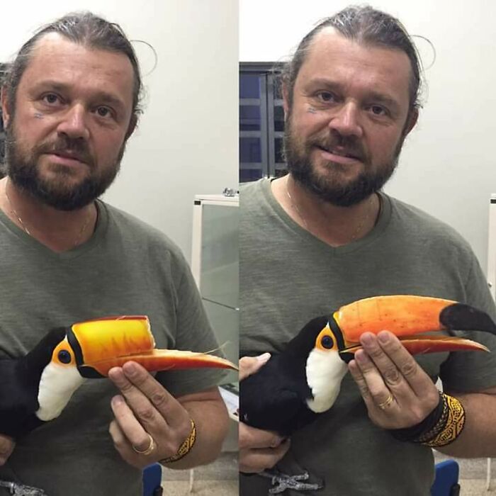 Toucan Gets A Totally 3D Printed Beak Makeover