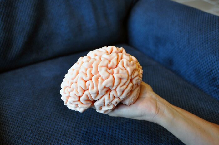 21 Mind-Blowing 3D Prints That Show How Weirdly Awesome This Tech Is