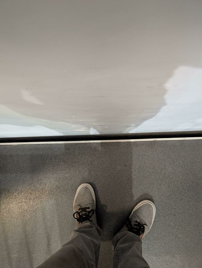 37 Travel Nightmares That Will Make You Rethink Flying Forever