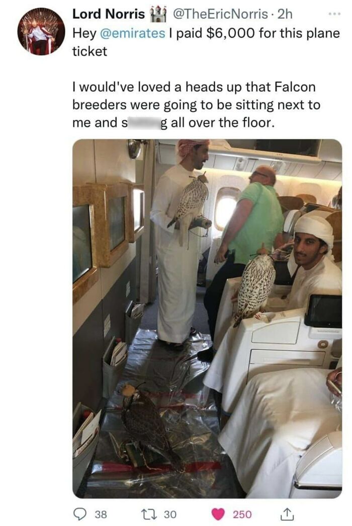 37 Travel Nightmares That Will Make You Rethink Flying Forever
