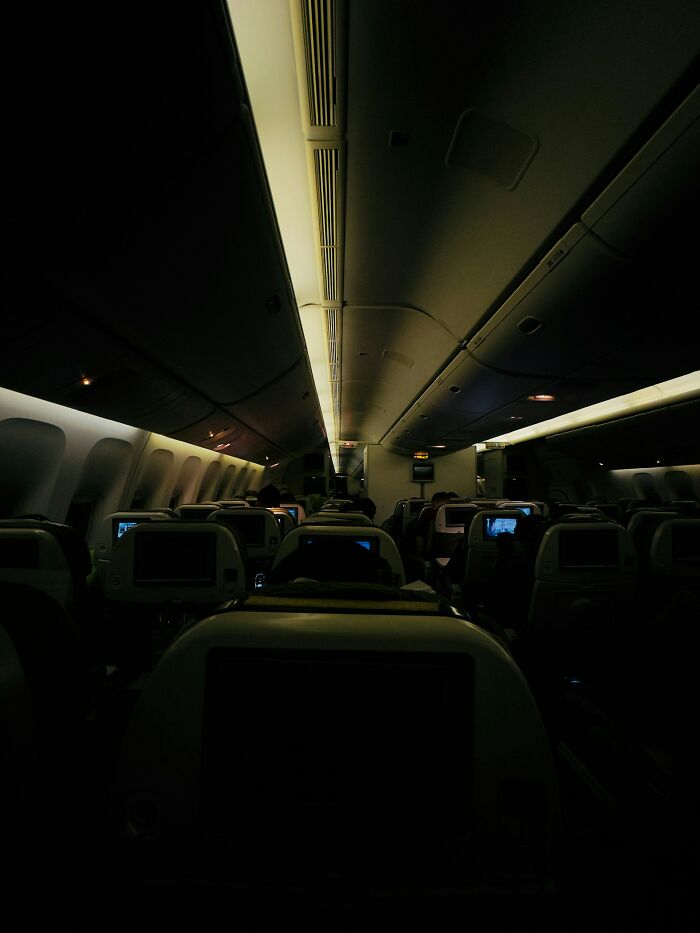 Weird Stuff That Actually Happened on Planes (No Joke)