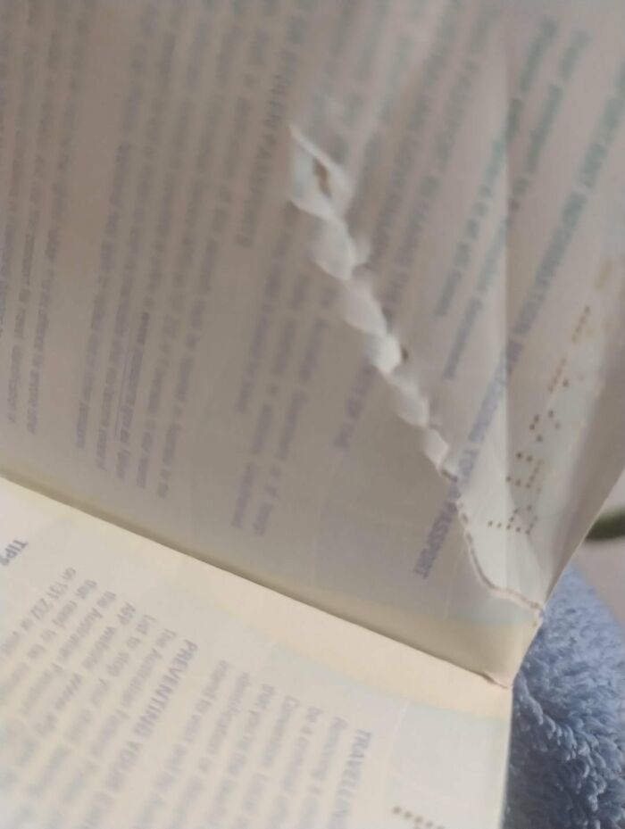 When That Last Straw Finally Snaps: 40 Wild Reasons People Ditched Their Parents