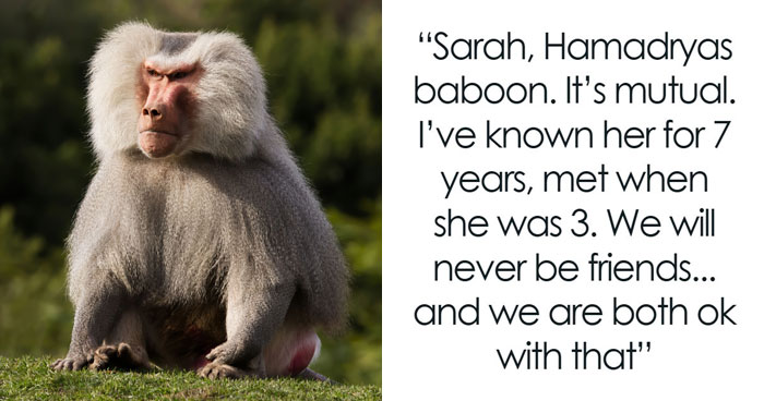 Wait, Zookeepers Actually Spill the Tea on Their Peskiest Animal Roommates