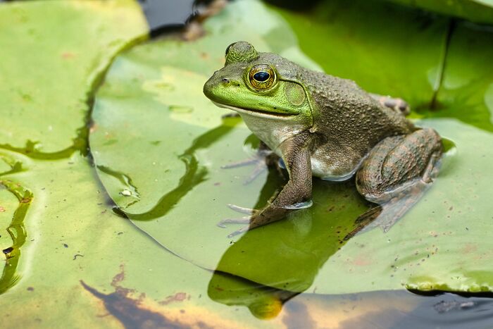 Wait, Zookeepers Actually Spill the Tea on Their Peskiest Animal Roommates