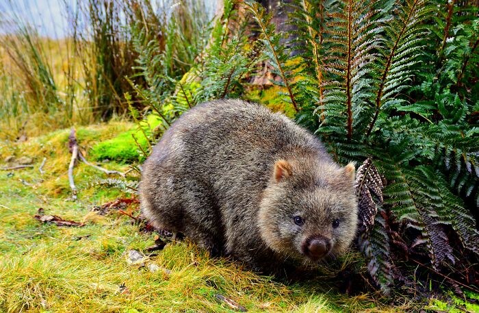 Wait, Zookeepers Actually Spill the Tea on Their Peskiest Animal Roommates