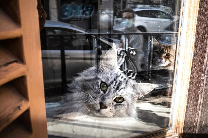 Wait, This Street Photographer Catches Crazy Coincidences You’ll Have to Look Twice To Believe!
