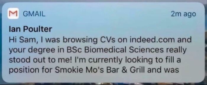 Finding A Career Feels...Fun?