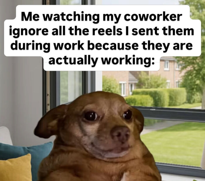 Memes That Make Work Suck Way Less (Like Seriously, Try Not to Laugh at These)