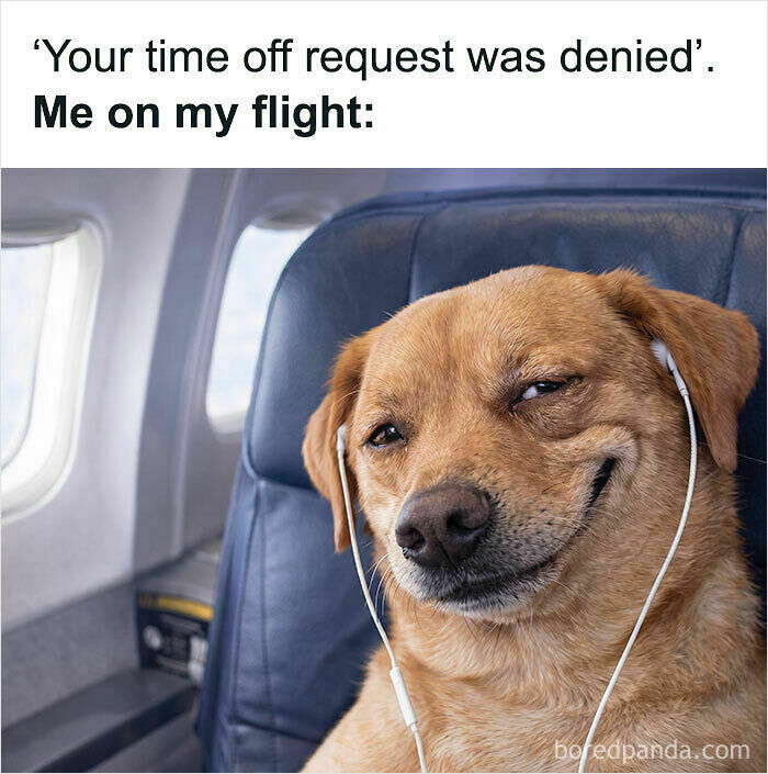 Memes That Make Work Suck Way Less (Like Seriously, Try Not to Laugh at These)