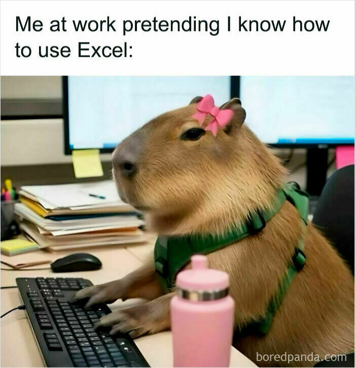 Memes That Make Work Suck Way Less (Like Seriously, Try Not to Laugh at These)