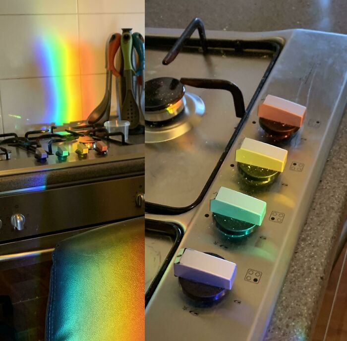 The Sun Shined Through My Fish Tank To Hit Every Knob Perfectly. Who Knew Fish Tanks Were Such Divas?