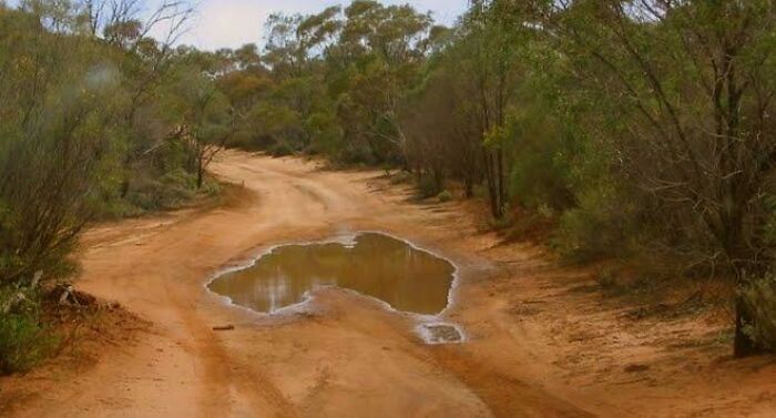 This Puddle Looks Exactly Like Australia, And It’s Right In Australia! Mind Boggling
