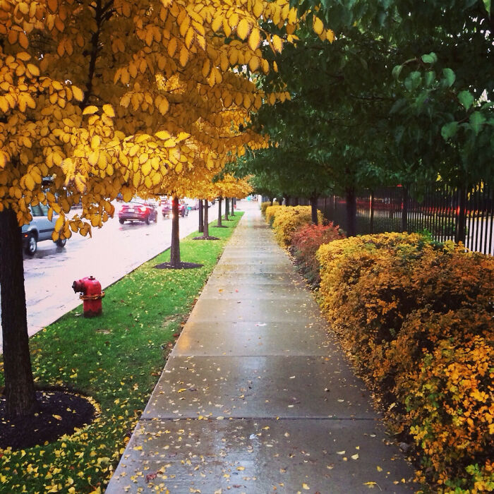 Found A Street Where All The Colors Match On Both Sides—Symmetry Goals!