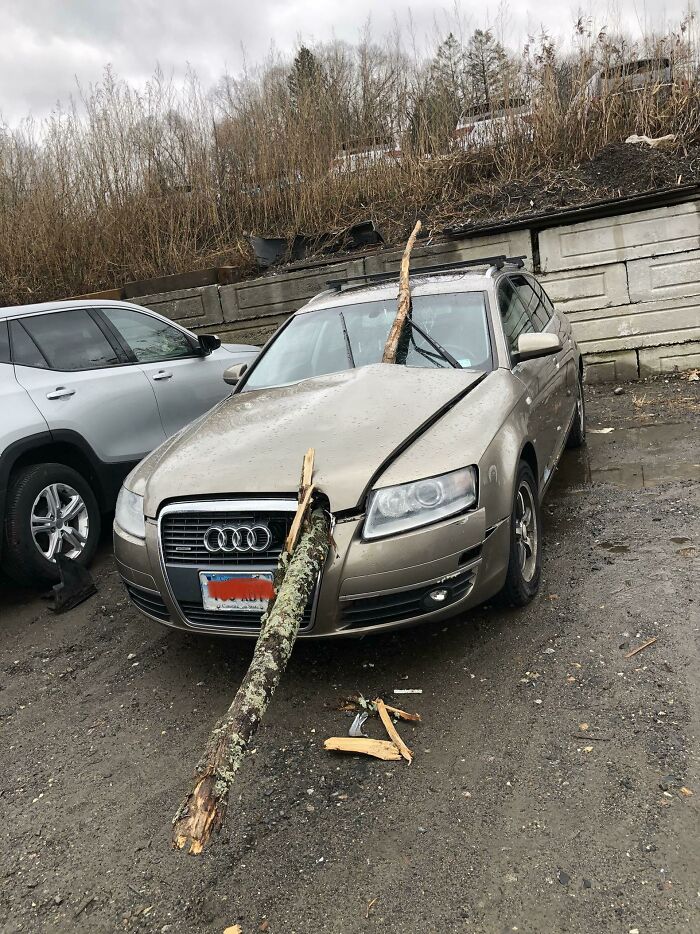 Customer Said Everyone Was Fine, But The Car… Not So Much