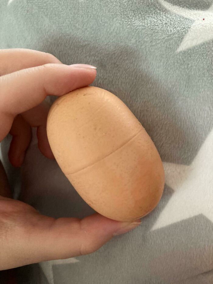 This Egg My Chicken Laid Looks Just Like A Kinder Surprise Egg. Surprise Inside?