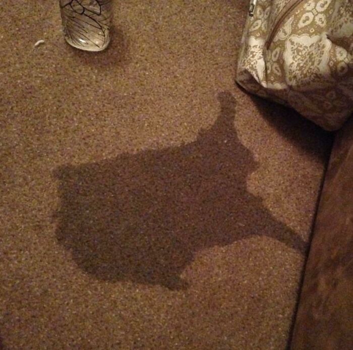 I Kicked Over My Glass Of Water And It Looks Like America. Cheers To That!