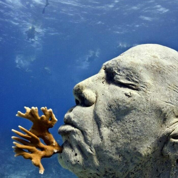 21 Underwater Sculptures That Are Like Secret Ocean Treasures (And Yes, They Help Fish, Too!)