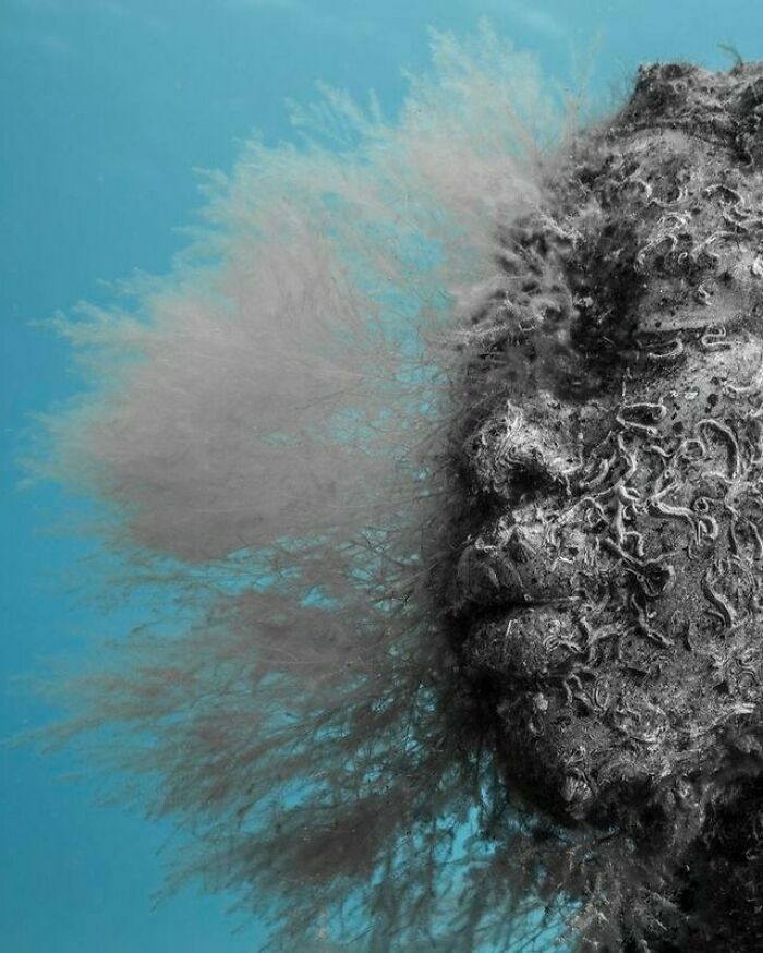 21 Underwater Sculptures That Are Like Secret Ocean Treasures (And Yes, They Help Fish, Too!)