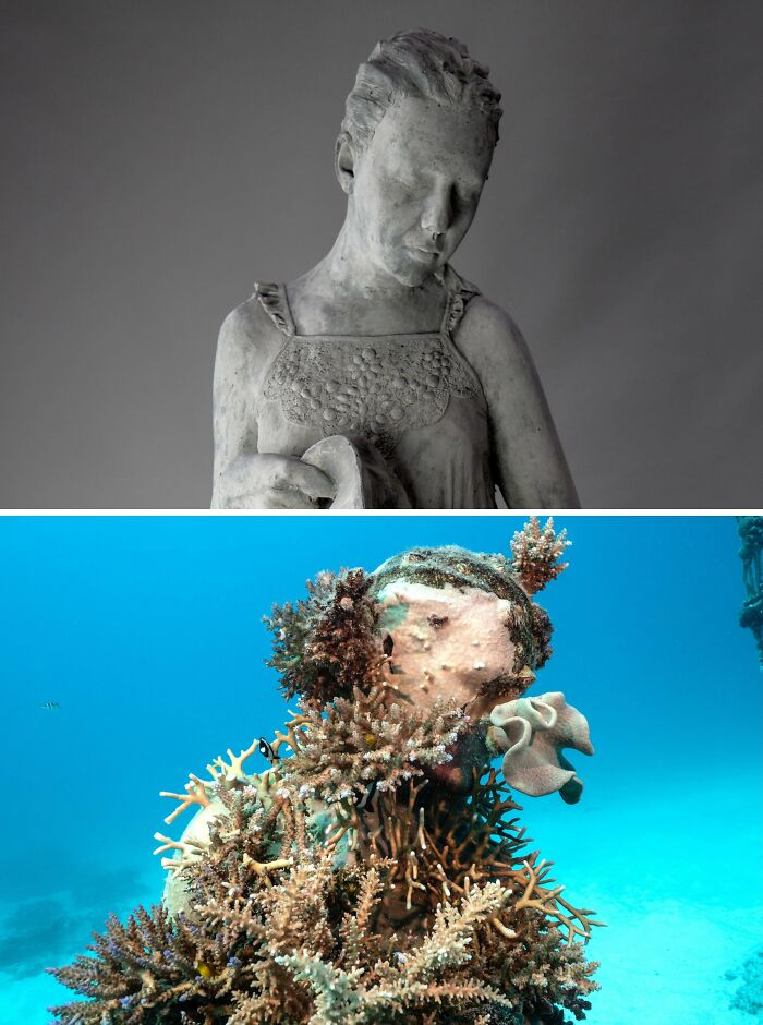 21 Underwater Sculptures That Are Like Secret Ocean Treasures (And Yes, They Help Fish, Too!)