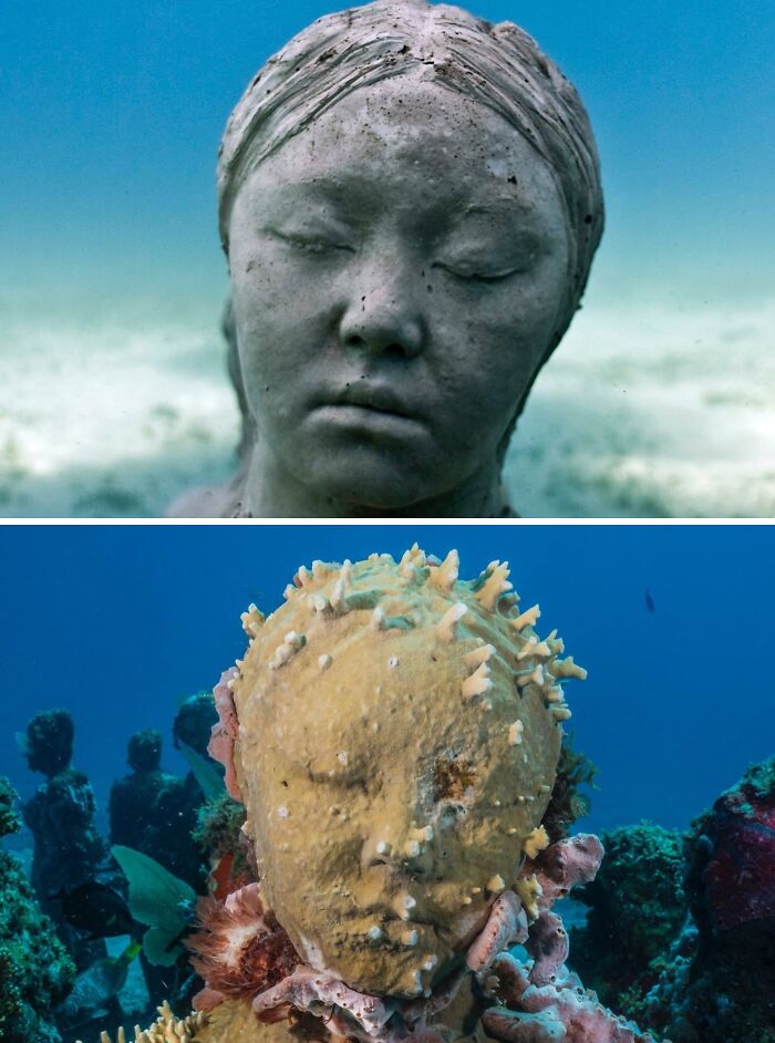 21 Underwater Sculptures That Are Like Secret Ocean Treasures (And Yes, They Help Fish, Too!)