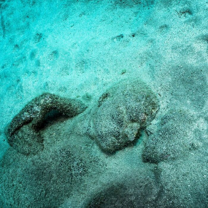 21 Underwater Sculptures That Are Like Secret Ocean Treasures (And Yes, They Help Fish, Too!)