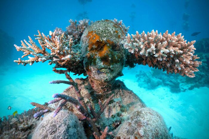 21 Underwater Sculptures That Are Like Secret Ocean Treasures (And Yes, They Help Fish, Too!)