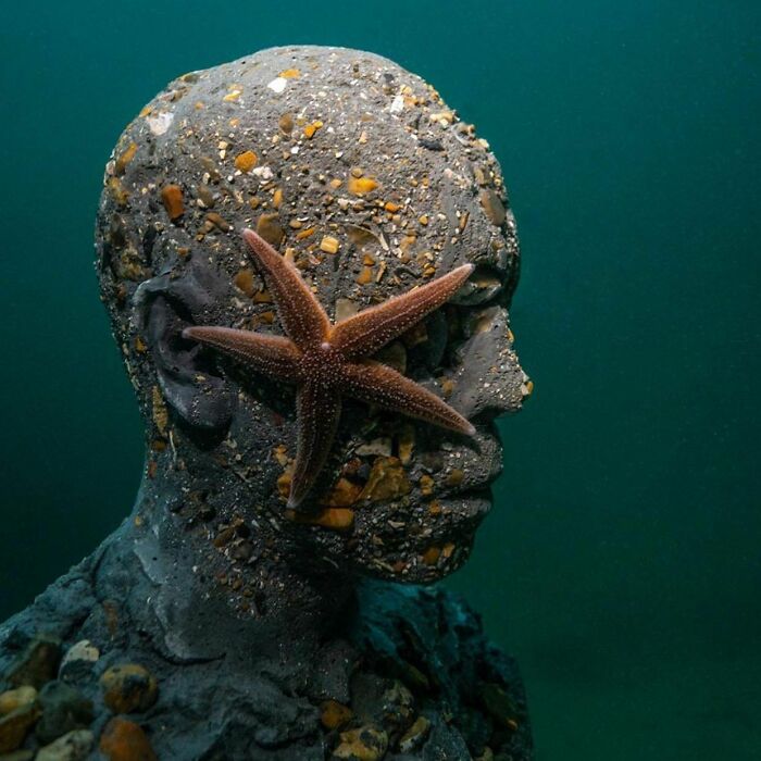 21 Underwater Sculptures That Are Like Secret Ocean Treasures (And Yes, They Help Fish, Too!)