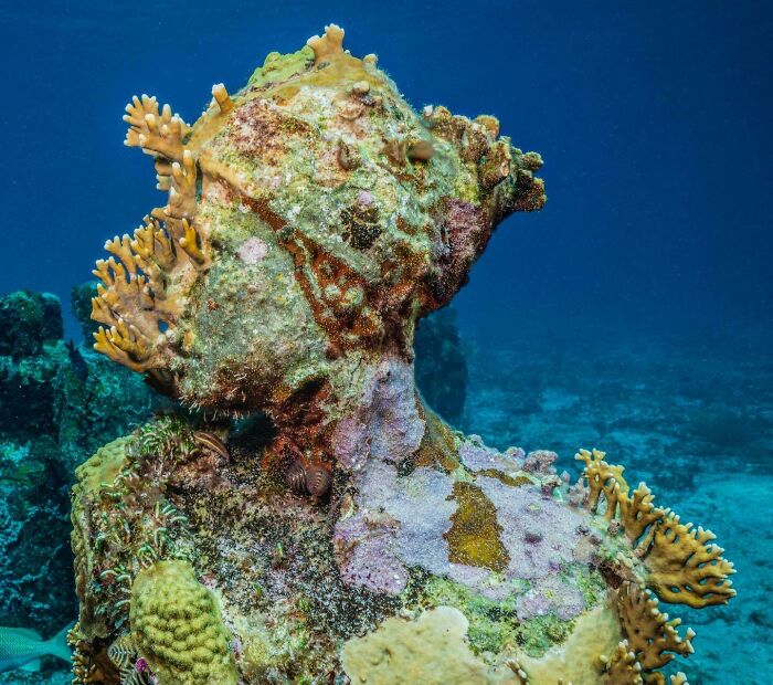 21 Underwater Sculptures That Are Like Secret Ocean Treasures (And Yes, They Help Fish, Too!)